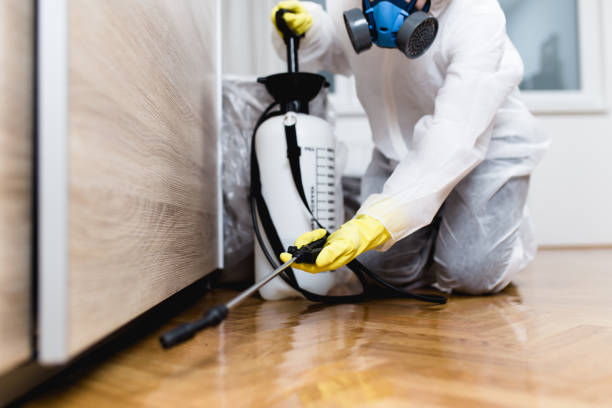 Best Affordable Exterminators  in Mford, IL