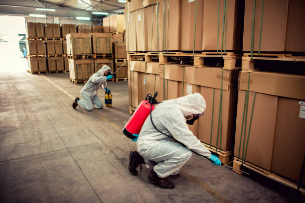 Best Pest Removal Services  in Mford, IL