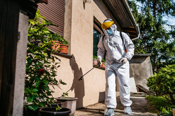Best Flea Control Services  in Mford, IL