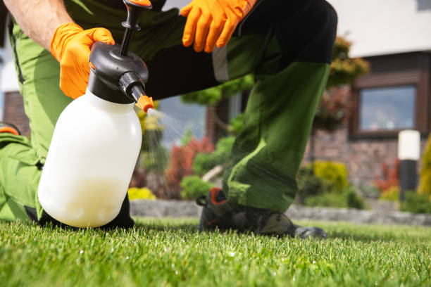 Best Pest Prevention Services  in Mford, IL