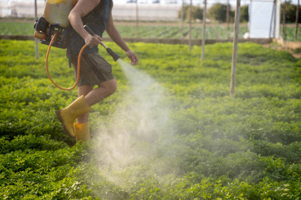 Best Local Pest Control Services  in Mford, IL