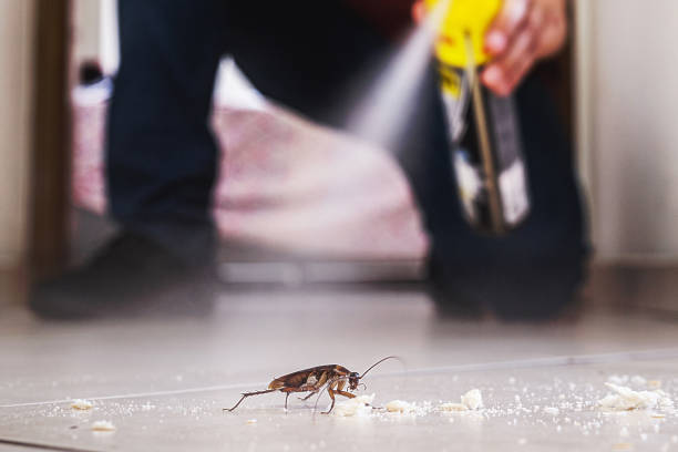 Best Pest Removal Services  in Mford, IL