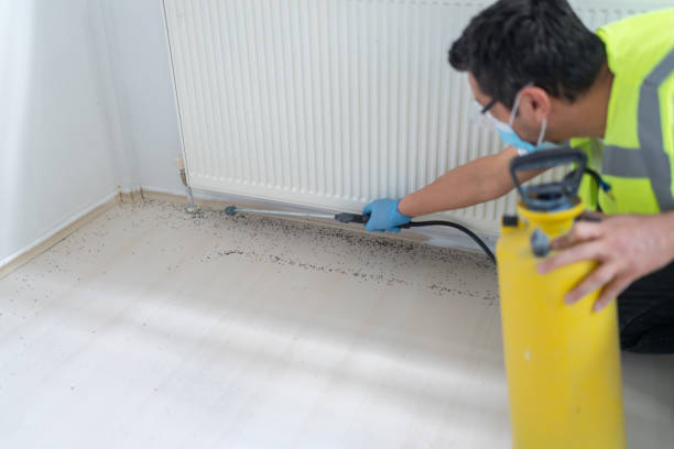 Best Ant Control Services  in Mford, IL